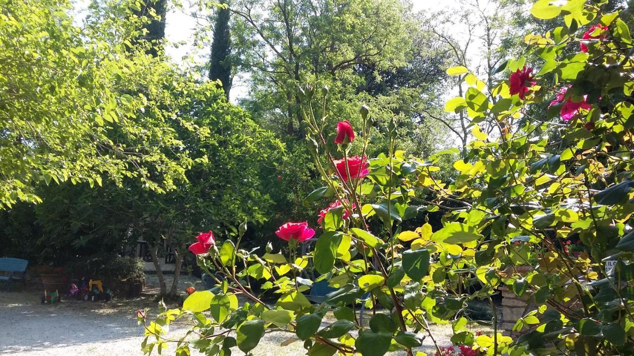 Agriturismo Alle Rose Volterra Buitenkant foto